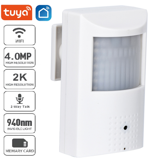 Smart Home Google Nest - Tuya POE Mini WiFi Kamera PIR
